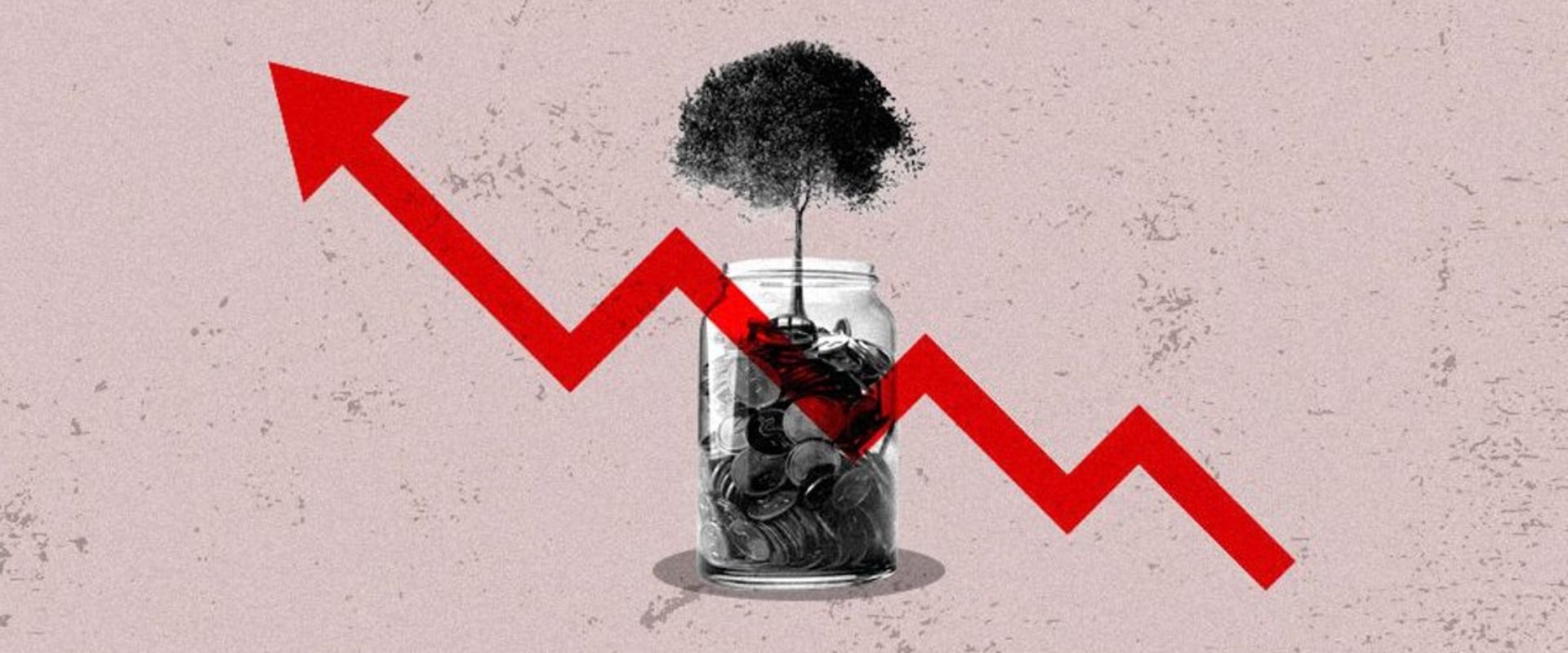 Mutual Funds and ETFs: A Beginner's Guide to Understanding Investment Options