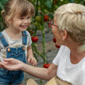 Estate Planning: Minimizing Risk and Maximizing Financial Security