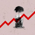 Mutual Funds and ETFs: A Beginner's Guide to Understanding Investment Options