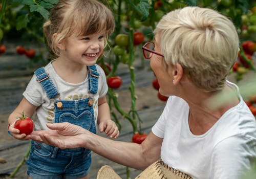 Estate Planning: Minimizing Risk and Maximizing Financial Security