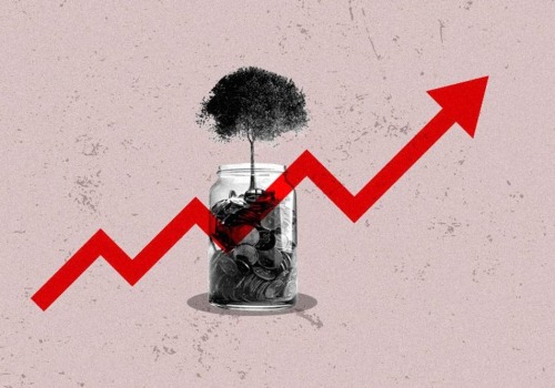 Mutual Funds and ETFs: A Beginner's Guide to Understanding Investment Options
